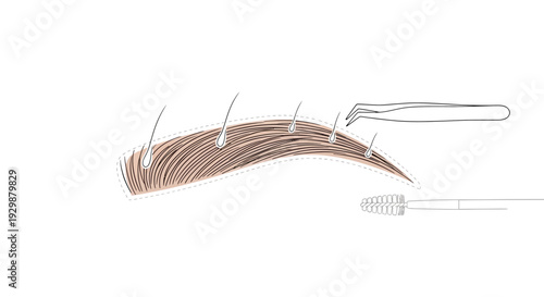 Eyelash Extension Tools Kit.