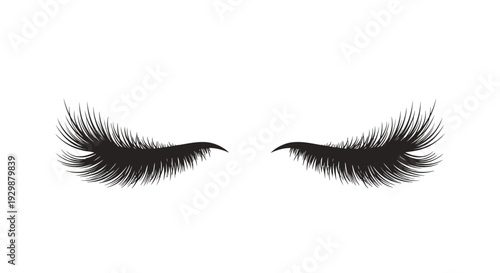 False Eyelashes Beauty.