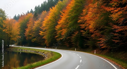 Autumn road winding through a forest of vibrant foliage beside a tranquil lake.