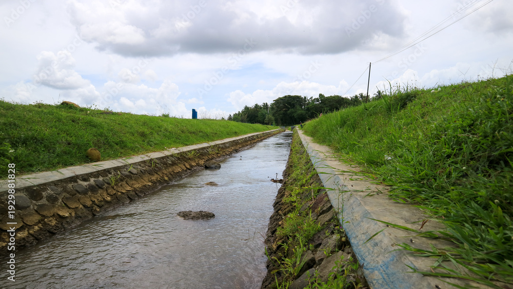 Fototapeta premium irrigation system in tropical agriculture 