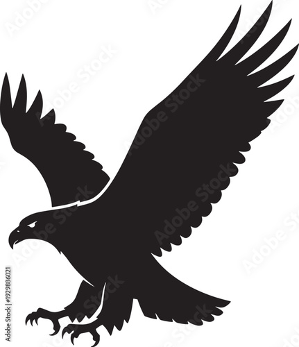 Eagle Silhouette Wildlife Illustration
