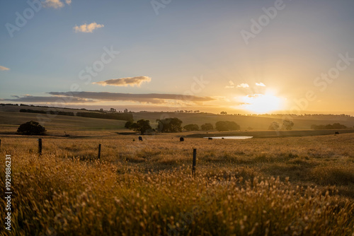 Tableau sur toile pasture and grasses on a regenerative farm