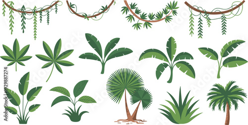 Collection of tropical plant illustrations, jungle leaves and palm trees set, flat vector botanical elements isolated on white background