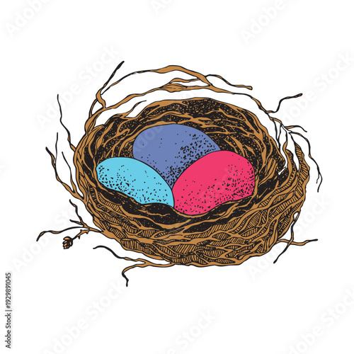 Bird nest with eggs. Easter hand drawn vector illustration, template design.