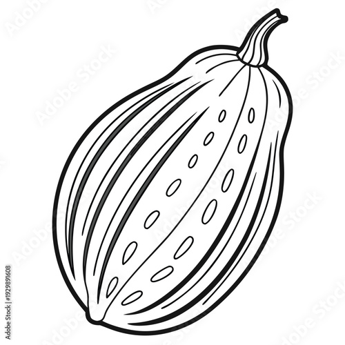 bitter melon line art vecot