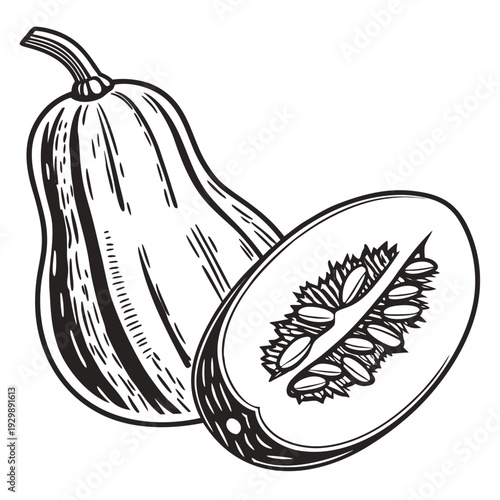 banana squash silhouette on white