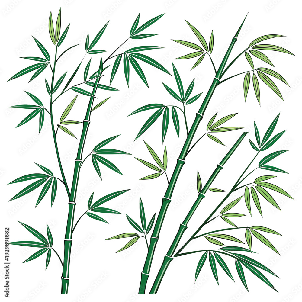 Obraz premium bamboo shoots