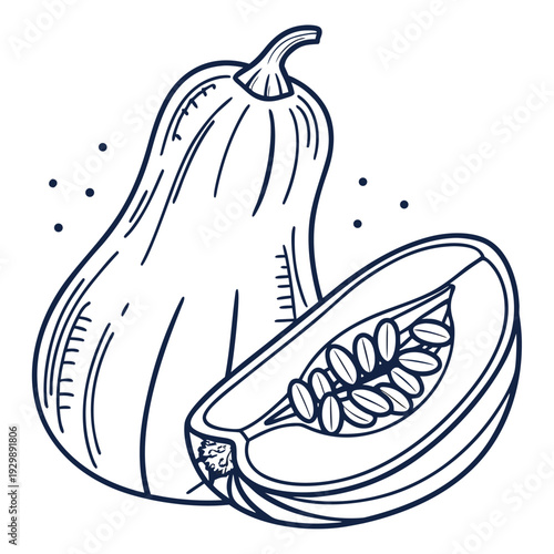 banana squash line art