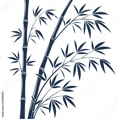 silhouette of bamboo shoots