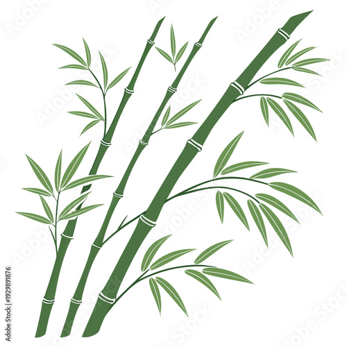 bamboo shootsvector illustration