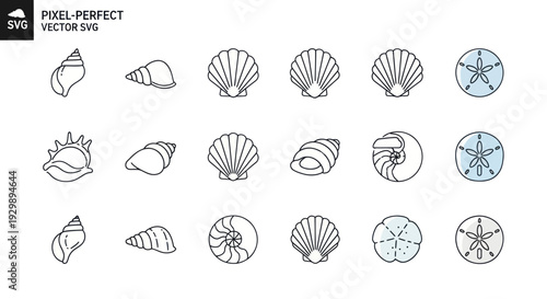 Collection of Seashells and Sand Dollars Vector Icons
