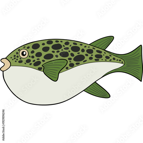 vector illustration of a fugu or blowfish