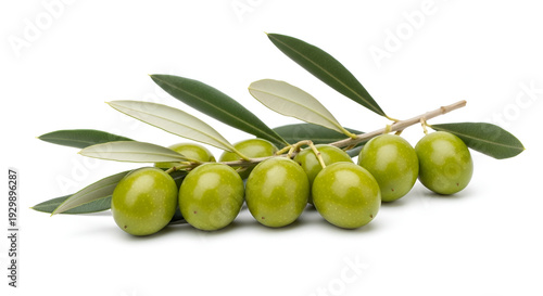 Wallpaper Mural Fresh green olives on the branch with leaves healthy Mediterranean diet delicious raw fruits on white background healthy eating Torontodigital.ca
