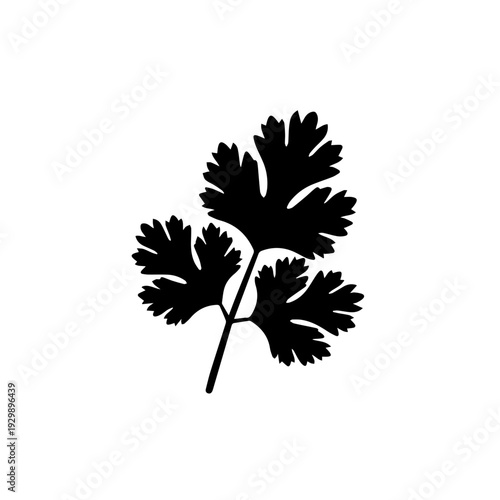 A sleek black and white illustration of three flat-leaf parsley sprigs