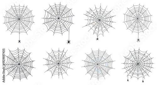 Set of eight spider webs with small spiders, isolated on white background
