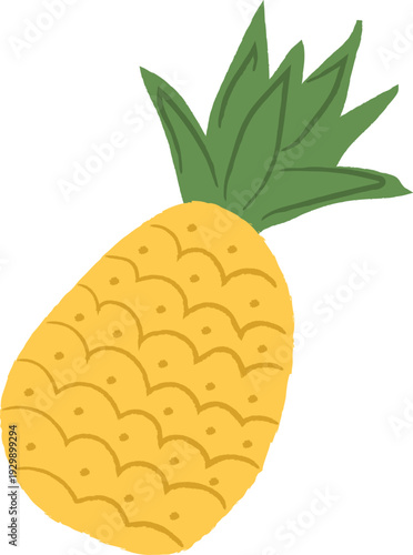 Pineapple Whole Fruit Doodle