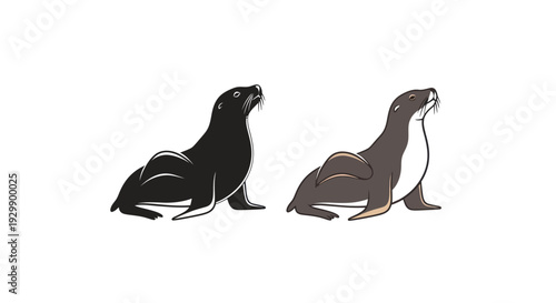 Two Seals, One Black Silhouette, One Realistic Illustration
