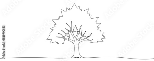 Deciduous tree in one line art style. Drawing of a spreading tree with a thick crown, made by a continuous line with editable black stroke on a white background. Vector illustration.