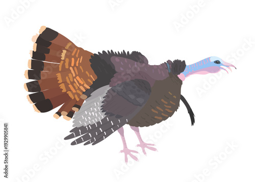 Cartoon Turkey vector hand drawn illustration. Cute  farm bird isolated on white background. Poultry clip art.