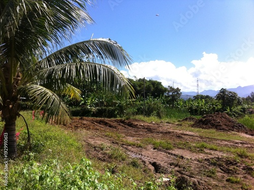 construccion de casa en la selva