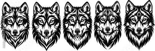 Black and white wolf head vector portrait set with detailed fur and intense eyes, wild timber wolf mascot icons for forest nature branding and hunting.