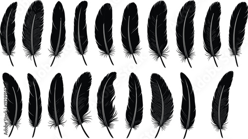 Black feather silhouette vector set with various bird quill shapes and light fluffy plumes for weightless nature branding minimalist ink writing and soft organic design.