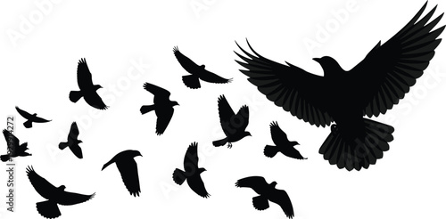 Black bird flock silhouette vector set, multiple flying crows or ravens in sky, avian wildlife graphics for nature conservation and outdoor freedom branding elements.