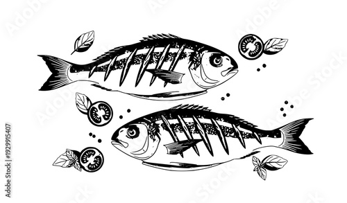 vector illustration of a fish