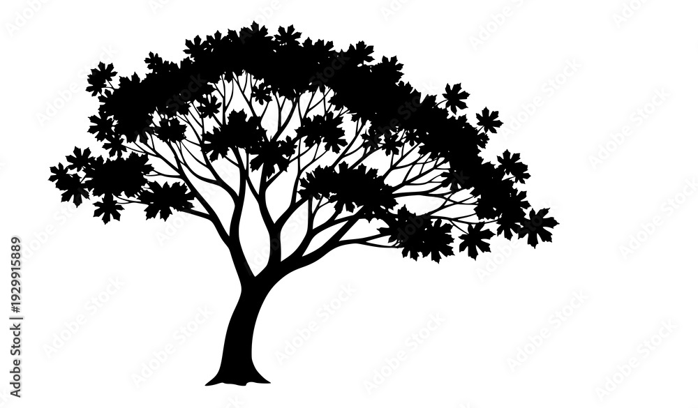 Fototapeta premium Realistic Leafy Maple Tree Silhouette Vector Art Isolated on White Background for Branding and Design