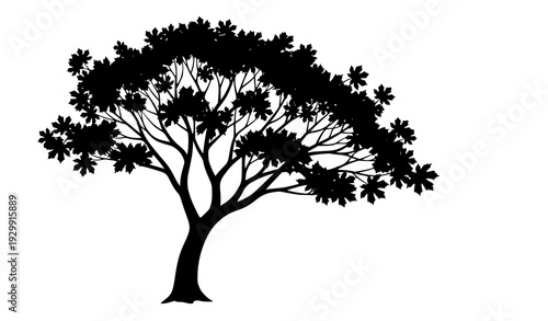 Realistic Leafy Maple Tree Silhouette Vector Art Isolated on White Background for Branding and Design