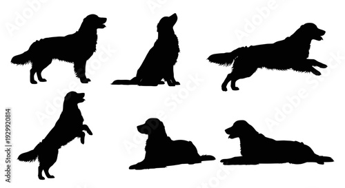 golden retriever dog silhouettes in various active and resting poses including standing sitting and jumping on a clean white background.