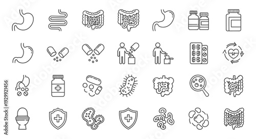 line icons illustrating digestive health gut microbiome and medication ideal for medical presentations health articles or web design