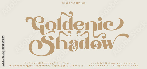 Classy elegant font, vintage type or luxury premium typeface, vector English royal alphabet. Classic typography in modern or old art deco style, serif letters for modern or retro poster font