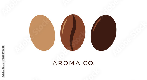 Three coffee beans showing different roasting levels on white background with text