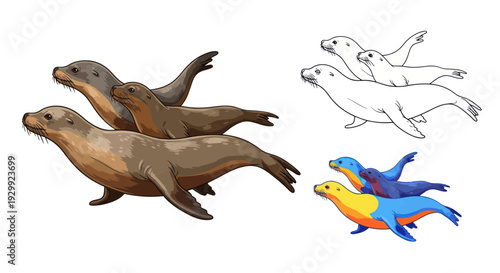 Three playful sea lions swimming together, illustration, cartoon style