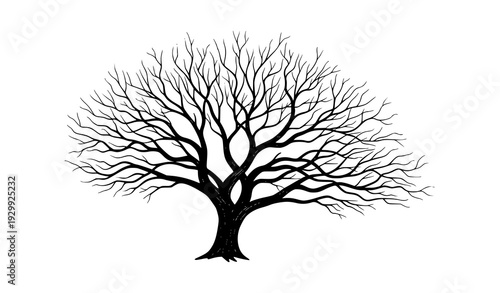 Black and White Leafless Winter Tree Vector Illustration on White Background