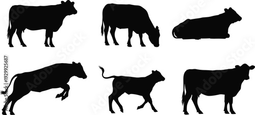 Set of cow and calf silhouettes in various poses like standing, grazing, lying down, running, jumping; domestic livestock silhouettes for farming, agricultural icons, and livestock designs.
