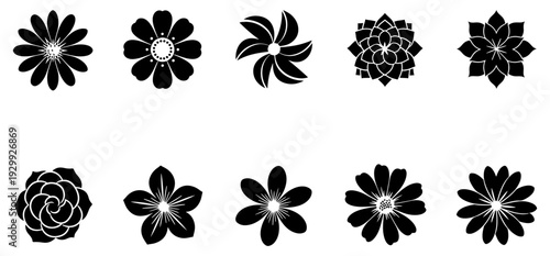 A collection of intricate and diverse black and white floral designs