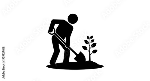 Person digging soil with a shovel near a young plant.