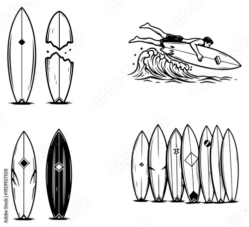 Assorted shells and sea creatures artwork on display