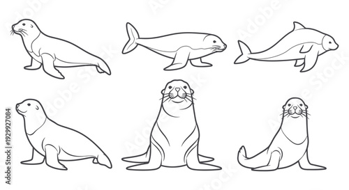 Seal Line Art Set: Various Poses and Styles of Seals and Sea Lions