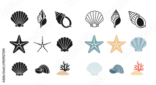 Seashells and Starfish Collection: Icons and Illustrations