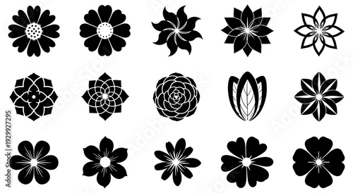 A collection of intricate black and white floral designs showcasing various patterns