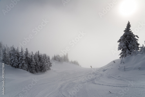 Canada, BC, Sun Peaks.  Frosty, winter alpine conditions at the peak of Todd Mountain in Sun Peaks Resort.