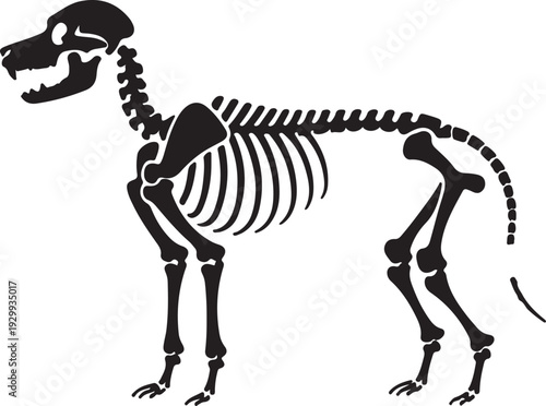 Dog Skeleton Anatomy – Canine Bone Structure Black and White Silhouette Vector Illustration