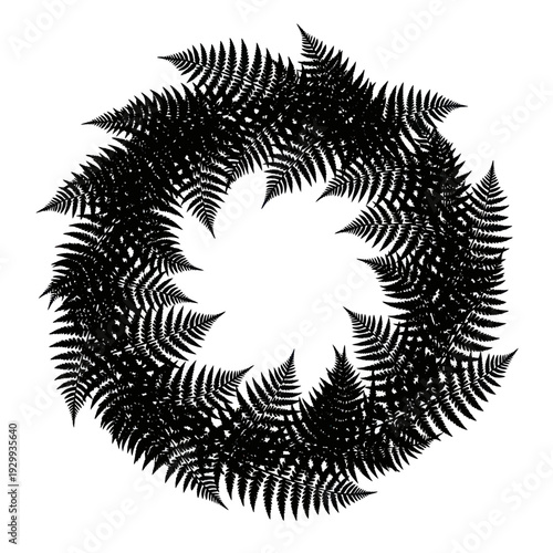 Black Fern Fronds Arranged in a Circular Mandala Pattern