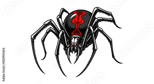 Black Widow Spider Illustration with Red Hourglass Mark