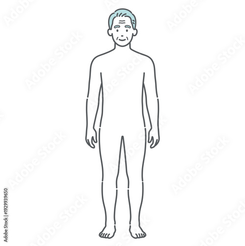 シニア男性の人体図・全身モデルのイラスト（正面）