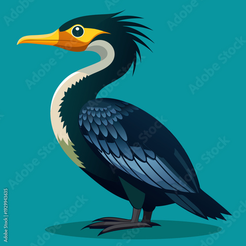 Cormoran déployant ses ailes pour sécher