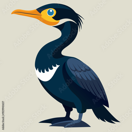 Cormoran déployant ses ailes pour sécher